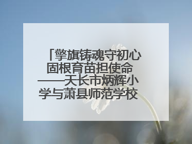 擎旗铸魂守初心 固根育苗担使命——天长市炳辉小学与萧县师范学校附属小学结对共建活动纪实