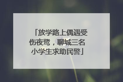 放学路上偶遇受伤夜鹭，聊城三名小学生求助民警