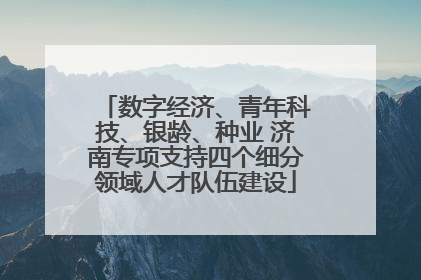 数字经济、青年科技、银龄、种业 济南专项支持四个细分领域人才队伍建设