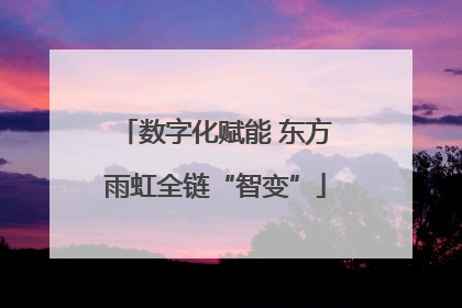 数字化赋能 东方雨虹全链“智变”