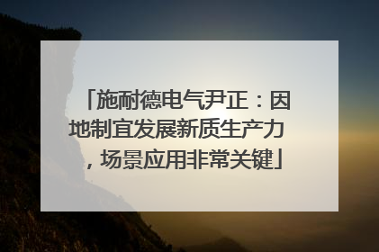 施耐德电气尹正：因地制宜发展新质生产力，场景应用非常关键