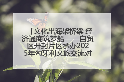 文化出海架桥梁 经济通商筑梦船——自贸区开封片区承办2025年匈牙利文旅交流对接活动专场