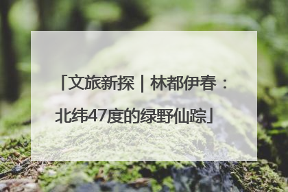 文旅新探｜林都伊春：北纬47度的绿野仙踪