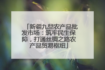 新疆九鼎农产品批发市场：筑牢民生保障，打通丝绸之路农产品贸易枢纽