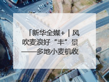 新华全媒+｜风吹麦浪好“丰”景——多地小麦机收一线见闻