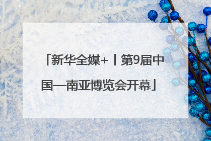 新华全媒+丨第9届中国—南亚博览会开幕