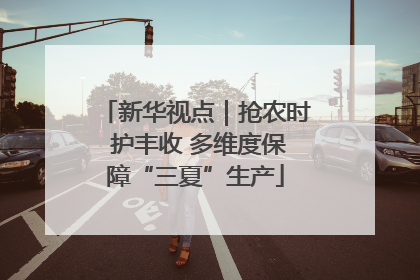 新华视点｜抢农时 护丰收 多维度保障“三夏”生产