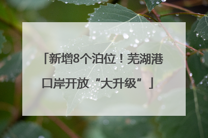 新增8个泊位！芜湖港口岸开放“大升级”