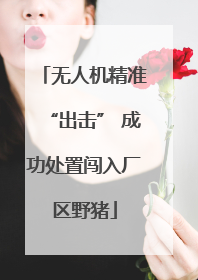 无人机精准“出击” 成功处置闯入厂区野猪