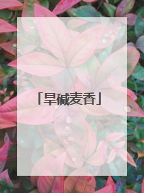 旱碱麦香