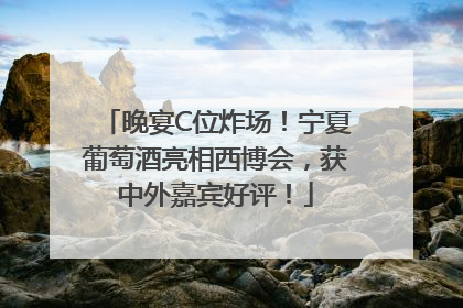 晚宴C位炸场！宁夏葡萄酒亮相西博会，获中外嘉宾好评！
