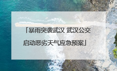 暴雨突袭武汉 武汉公交启动恶劣天气应急预案