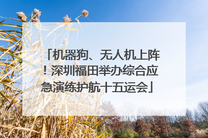 机器狗、无人机上阵！深圳福田举办综合应急演练护航十五运会