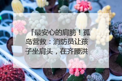 最安心的肩膀！孤岛营救：消防员让孩子坐肩头，在齐腰洪水里稳如泰山