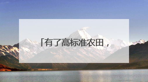 有了高标准农田，亩均纯利增六成（经济聚焦·夏收里的“新选手”）