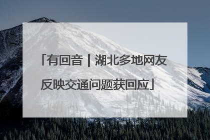 有回音｜湖北多地网友反映交通问题获回应