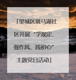 望城区斑马湖社区开展“学规定、强作风、践初心”主题党日活动