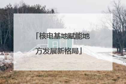 核电基地赋能地方发展新格局