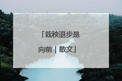 栽秧退步是向前｜散文