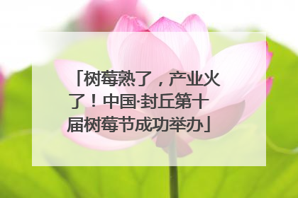 树莓熟了，产业火了！中国·封丘第十届树莓节成功举办