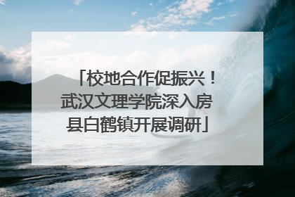 校地合作促振兴！武汉文理学院深入房县白鹤镇开展调研