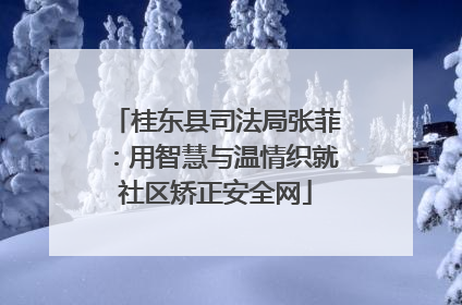 桂东县司法局张菲：用智慧与温情织就社区矫正安全网