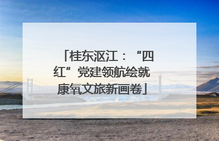 桂东沤江：“四红”党建领航绘就康氧文旅新画卷