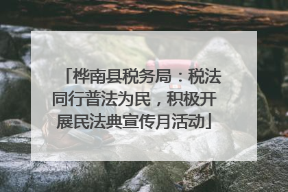 桦南县税务局：税法同行普法为民，积极开展民法典宣传月活动