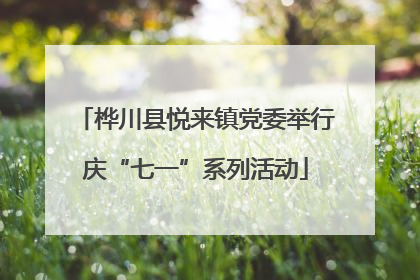 桦川县悦来镇党委举行庆“七一”系列活动