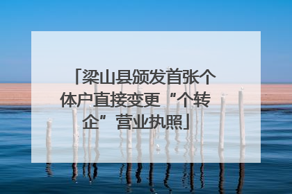 梁山县颁发首张个体户直接变更“个转企”营业执照