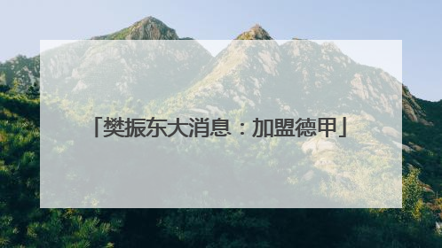 樊振东大消息：加盟德甲