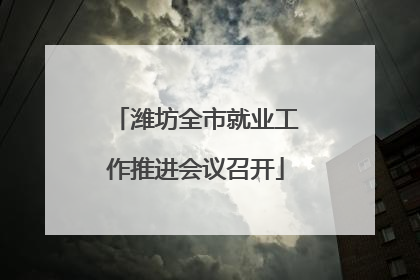 潍坊全市就业工作推进会议召开