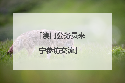 澳门公务员来宁参访交流