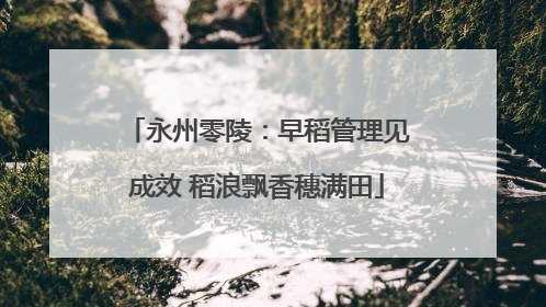 永州零陵：早稻管理见成效 稻浪飘香穗满田