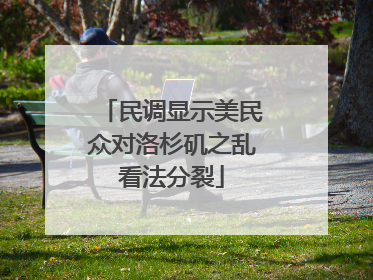 民调显示美民众对洛杉矶之乱看法分裂