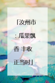 汝州市：瓜果飘香 丰收正当时