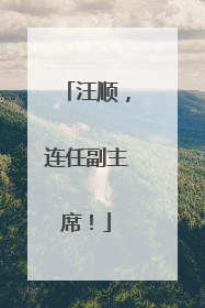 汪顺，连任副主席！