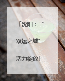 沈阳：“双运之城”活力绽放