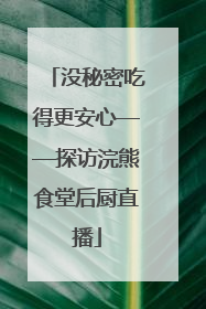 没秘密吃得更安心——探访浣熊食堂后厨直播
