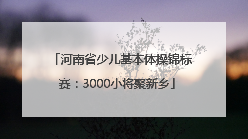 河南省少儿基本体操锦标赛：3000小将聚新乡