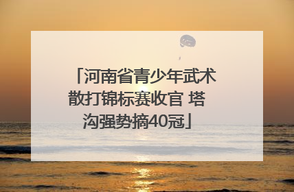 河南省青少年武术散打锦标赛收官 塔沟强势摘40冠
