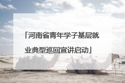 河南省青年学子基层就业典型巡回宣讲启动
