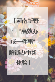 河南新野：“高效办成一件事”解锁办事新体验
