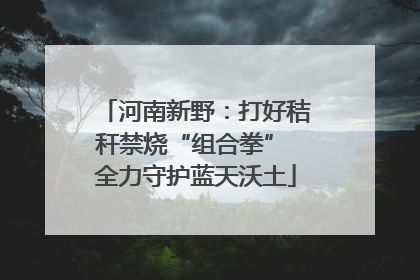 河南新野：打好秸秆禁烧“组合拳” 全力守护蓝天沃土