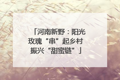 河南新野：阳光玫瑰“串”起乡村振兴“甜蜜链”