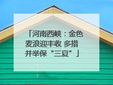 河南西峡：金色麦浪迎丰收 多措并举保“三夏”