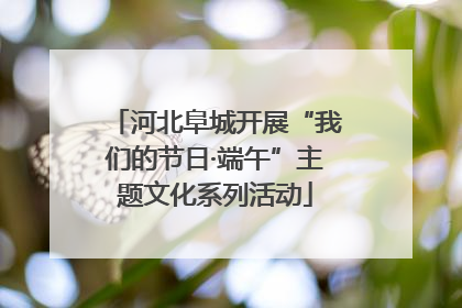 河北阜城开展“我们的节日·端午”主题文化系列活动