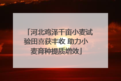 河北鸡泽千亩小麦试验田喜获丰收 助力小麦育种提质增效
