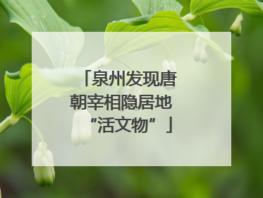 泉州发现唐朝宰相隐居地“活文物”