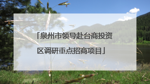 泉州市领导赴台商投资区调研重点招商项目